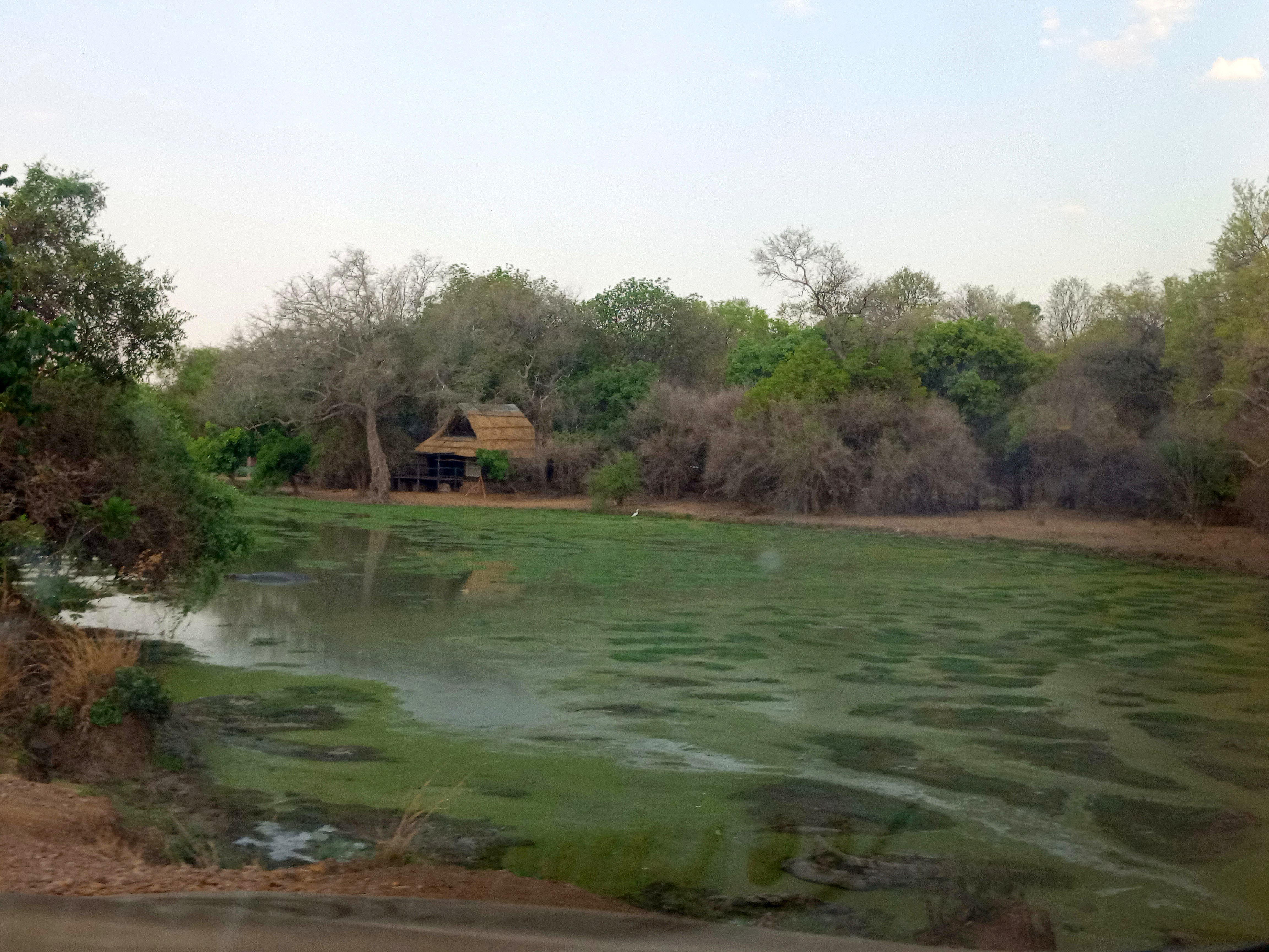 A green lagoon and thatched homestead in the chiefdom